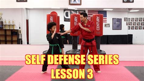 Defendu Lessons 的图像结果