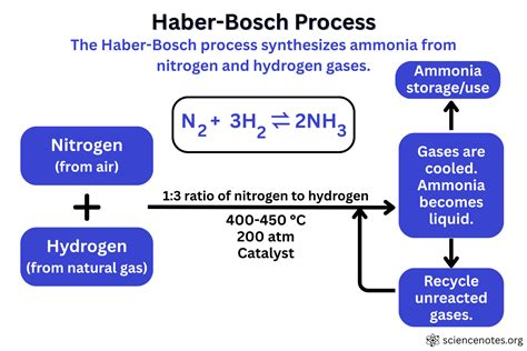 Image result for Haber Process Notes