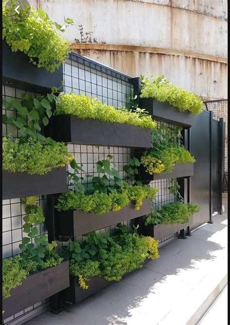 Greenscreen System 的图像结果