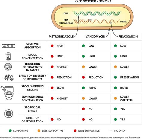 Clostridioides difficile infection: are the three currently used antibiotic treatment options ...