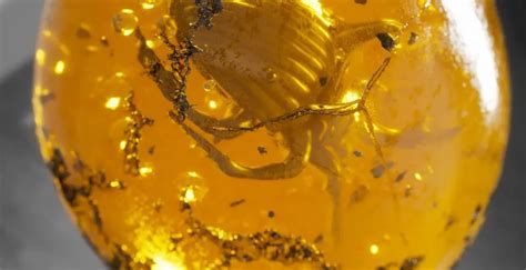 Image result for Houdini Beginner Tutorials