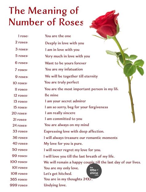 Pin by Ayla Schuetze on Roses in 2025 | Rose color meanings, Flower ...