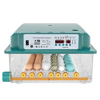 Hethya Automatic Egg Incubator with Humidity Control India | Ubuy