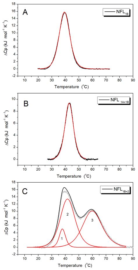 Neurofilament Light Protein Rod Domain Exhibits Structural Heterogeneity