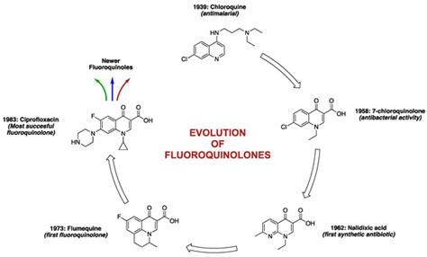 Ubiquitous Nature of Fluoroquinolones: The Oscillation between ...
