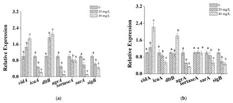 Inhibition of Biofilm Formation of Foodborne Staphylococcus aureus by ...