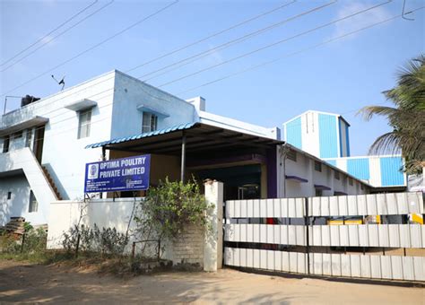 poultry feed formula | Poultry Laboratory