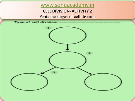 SONU ACADEMY: CELL DIVISION - ACTIVITY 2