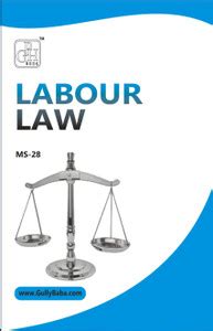 MS-28 Labour Laws (Including Solved Question Papers): Buy MS-28 Labour ...