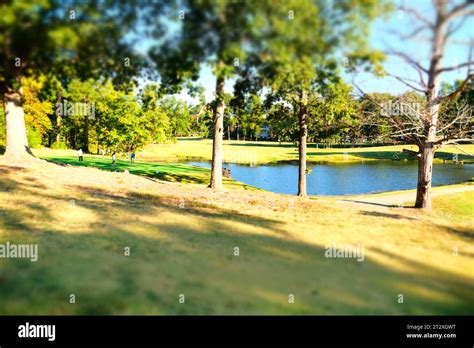 Playing Golf 的图像结果