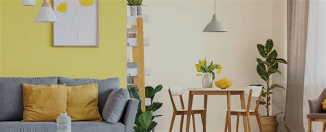 Halo Majestic Interiors Shine Acrylic Emulsion Paint - JSW Paints