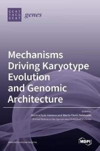 Mechanisms Driving Karyotype Evolution and Genomic Architecture: Buy ...