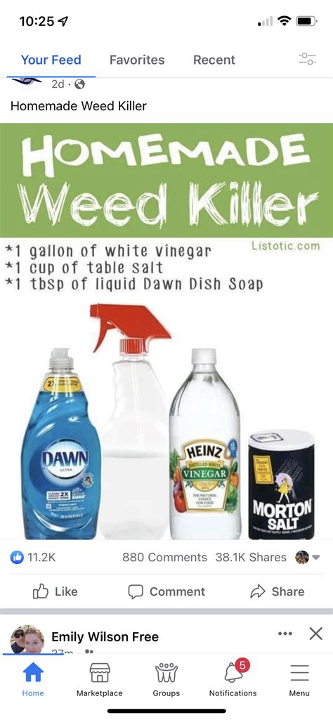 Pin on Gardening 101