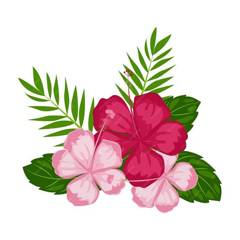 Pink Hibiscus Flower Clipart
