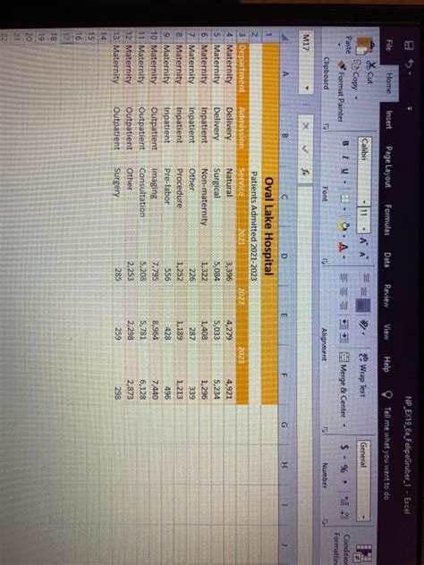 Excel 2019 Module 4 Sam Project 3B 的图像结果