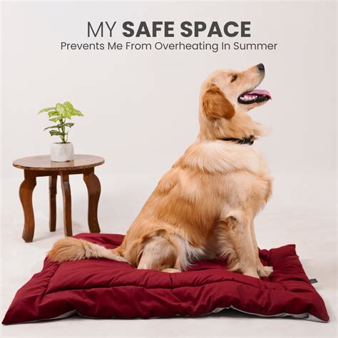 Summer Bed | Barks & Wags | India