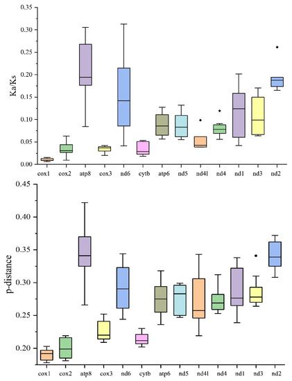 Characterization of Five New Earthworm Mitogenomes (Oligochaeta ...