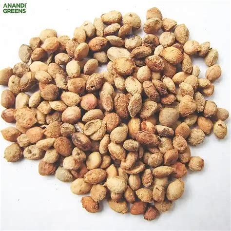 Bail Seeds | बेल पत्र (10 seeds) — Anandi Green's