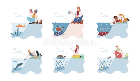 Observation 的图像结果