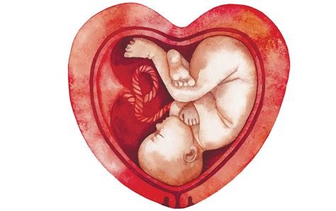 Week by week pregnancy guide: 33 weeks pregnant