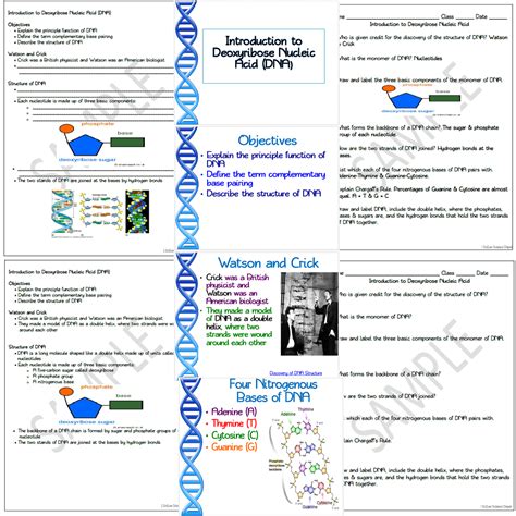 Image result for DNA Introduction