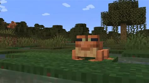 Image result for Frog Colors Minecraft
