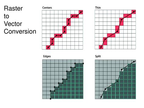 Image result for Vectorization
