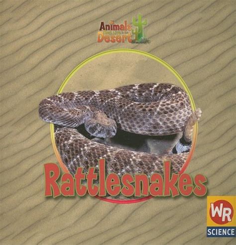 Buy Rattlesnakes (Animals That Live in the Desert) Book Online at Low ...