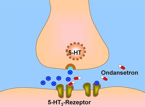 7.7 Antiemetics – Nursing Pharmacology