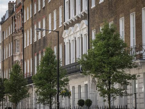 Visual Hallucinations and Dementia | Lewy Body Insight