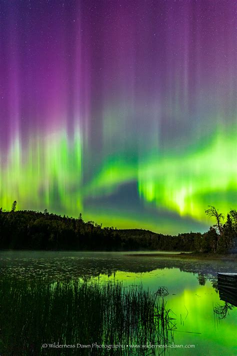 Minnesota Aurora Borealis :: Behance