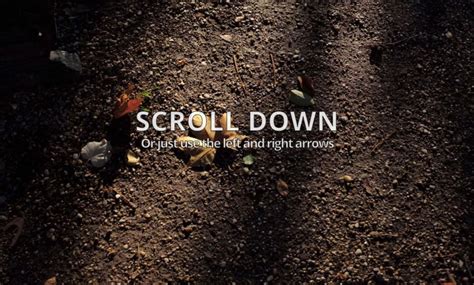 Image result for JavaScript Library for Slideshow