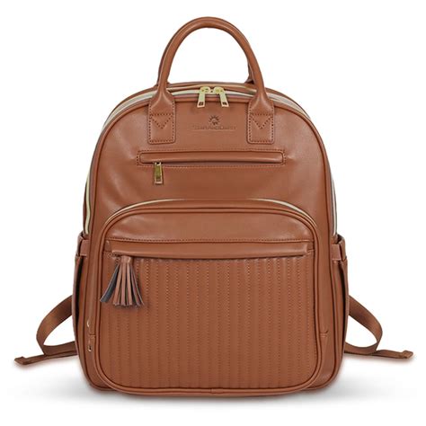 Best Maternity Bag For Modern Moms With Insulated Storage