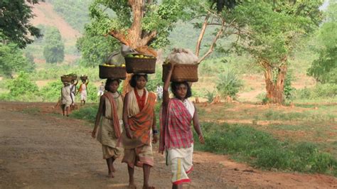 Niyamgiri – A Serendipity