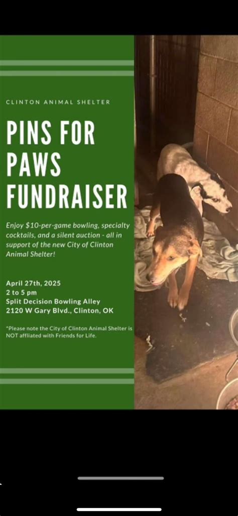 Pins for Paws Fundraiser , Split Decision, Chukchi, 27 April 2025 ...