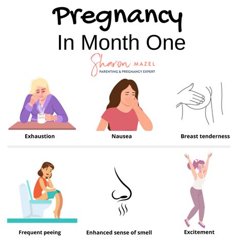 Pregnancy In Month One | Pregnancy guide, Pregnancy facts, Pregnancy stages