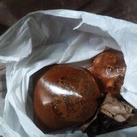 Zomato — Full amount not refunded even after delivering rancid food