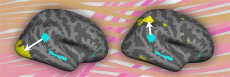 Brain, Computation, and Data Science