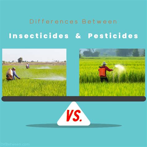 Insecticides vs Pesticides: Unveiling Key Differences
