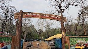 What to see in Dandeli (Updated Mar 2025)