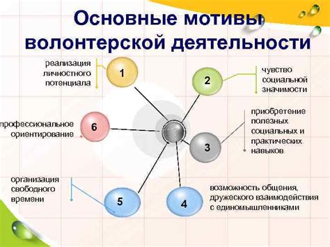 Волонтерская деятельность: особенности, основные направления и ...