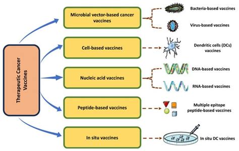 Cancer Vaccines in the Immunotherapy Era: Promise and Potential