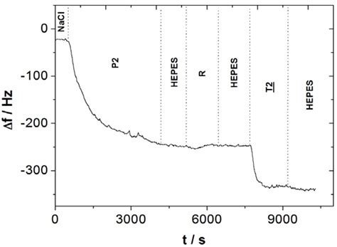 Thiol- and Biotin-Labeled Probes for Oligonucleotide Quartz Crystal ...
