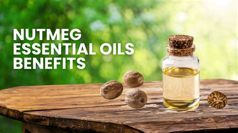 Benefits of Nutmeg Essential Oil for Wellness, Beauty – aseschem
