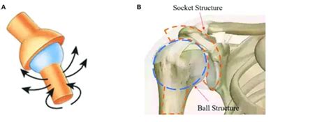 Image result for Hydraulic Strut Spring
