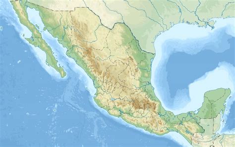 169 Great Mexican Cat Names and Their Meanings
