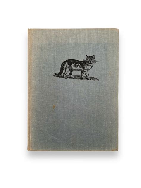 CATS CATS CATS CATS CATS CATS JUHN R.GILBERT | JulyBooks/七月書房