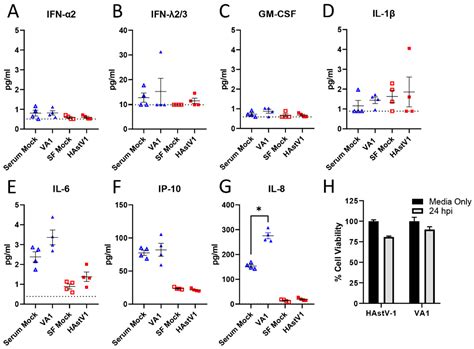 Human Astroviruses: A Tale of Two Strains
