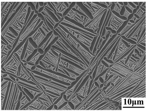 The Coupling Relationship of Dynamic Recrystallization and Lamellar ...