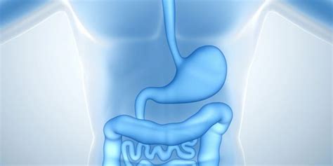 PANDOL-D | Idol Biotec Pvt Ltd